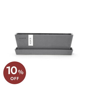 y111010%z Aؔ Bruges Mini 25cm 8  v^[ Jo[ u[W ~j ANDPLANTS Ahvc ecopots GR|bc Mt O[ y y v ϗtA 񂹐A ƒ