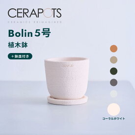 ＼お気に入り登録でお待ちください／植木鉢 鉢 陶器鉢 セラポッツ 5号 8号 CERAPOTS 軽い 素焼き 鉢皿付き おしゃれ プランター 軽い インテリア 北欧 cerapots 鉢皿 付き 植物 観葉植物 ブラック テラコッタ トープ セピアブラウン コーラルホワイト パールホワイト