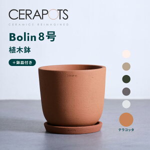 Aؔ  픫 Z|bc 5 8 CERAPOTS y fĂ Mt  v^[ y CeA k cerapots M t A ϗtA ubN eRb^ g[v ZsAuE R