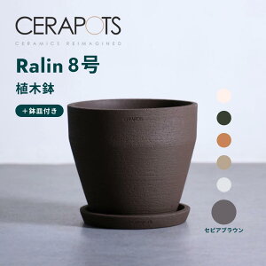 Aؔ  픫 Z|bc 5 8 CERAPOTS fĂ TheNX`[ Mt  v^[ y CeA k cerapots M t  A ϗtA ubN eRb^ g[