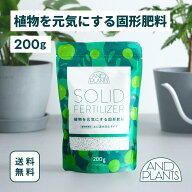 固形肥料 植物 肥料 固形 200g 活力 活性 元気 成長 回復 栄養 健康 観葉植物 植え替え 花 安全 簡単 混…