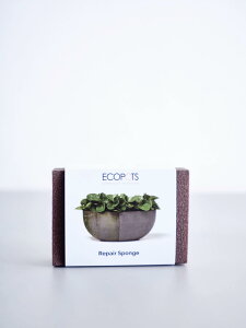 �A�ؔ� ������ ��C ���y�A�X�|���W ECOPOTS �G�R�|�b�c ANDPLANTS �A���h�v�����c �� ���� �V�~ �R�P ���� �C�� �C�� ���j���[�A�� �����C�N �C�� DIY �X�|���W ���X�� �ȒP �� ���J�o�[ �v�����^�[