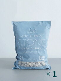 虫が出にくい鉢底石 2L 観葉植物用 鉢底石 軽石 植木鉢 鉢 鉢植え 植え替え 高音殺菌 高品質 排水性 通気性 水はけ 根腐れ防止 防虫対策 室内用 室外用 初心者おすすめ 観葉植物 植物 お花 花 草木 土 園芸 ガーデニング アンドプランツ ANDPLANTS 送料無料