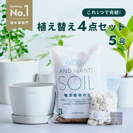 観葉植物 植え替え セット Table-L 5号 植木鉢 ホワイトグレー ECOPOTS 観葉土 2L 鉢底石 250g 鉢底網 軽い 鉢皿 付き お花 植物 観葉植物の土 初心者おすすめ 防虫対策 室内用 室外用 植え替え 鉢植え 鉢 プランター ガーデニング アンドプランツ