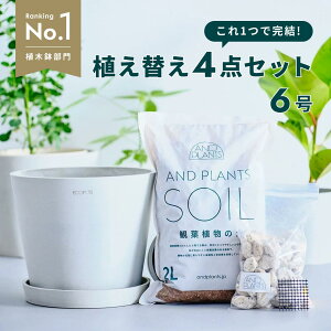 �ϗt�A�� �A���ւ� �Z�b�g S�T�C�Y 6�� �A�ؔ� �z���C�g�O���[ ECOPOTS �ϗt�y 2L ����� 500g ����� �y�� ���M �t�� ���� �A�� �ϗt�A���̓y ���S�҂������� �h���΍� �����p ���O�p �A���ւ� ��