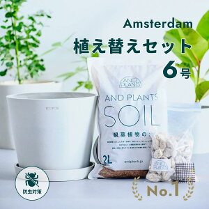 _r[T^ ϗtA Aւ Zbg STCY 6 Aؔ zCgO[ ECOPOTS ϗty 2L  500g  y M t  A ϗtA̓y S҂ h΍ 