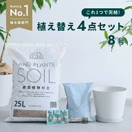 観葉植物 植え替え セット Mサイズ 8号 植木鉢 ホワイトグレー ECOPOTS 観葉土 25L 鉢底石 2L 鉢底網 軽…