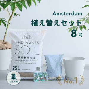 _r[T^ ϗtA Aւ Zbg MTCY 8 Aؔ zCgO[ ECOPOTS ϗty 25L  2L  y M t  A ϗtA̓y S҂ h΍ 