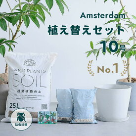 ＼レビュー特典あり／ 観葉植物 植え替え セット Lサイズ 10号 植木鉢 ホワイトグレー ECOPOTS 観葉土 25L 鉢底石 4L 鉢底網 軽い 鉢皿 付き お花 植物 観葉植物の土 初心者おすすめ 防虫対策 室内用 室外用 植え替え 鉢植え 鉢 プランター 北欧 ガーデニング アンドプランツ