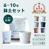 【お得な鉢と土のセット】植木鉢 鉢 ecopots Amsterdam 6 - 10号 プラスチック + 天然石 鉢カバー おしゃ…