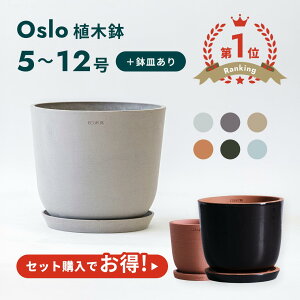 �_���r���[���T����^�y�����Ȕ��Ɠ��픫�̃Z�b�g�z�A�ؔ� �� ecopots Oslo 5 - 12�� �v���X�`�b�N + �V�R�� ���J�o�[ ������� ��^ �v�����^�[ �y�� �C���e���A �k�� �I�X�� ���M �t�� ���� �A��