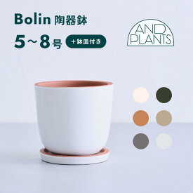 ＼レビュー特典あり／植木鉢 鉢 陶器鉢 セラポッツ 5号 8号 CERAPOTS 軽い 素焼き 鉢皿付き おしゃれ プランター 軽い インテリア 北欧 cerapots 鉢皿 付き 植物 観葉植物 ブラック テラコッタ トープ セピアブラウン コーラルホワイト パールホワイト