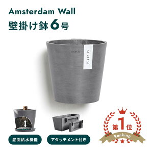 �_���r���[���T����^ECOPOTS Amsterdam WALL 20�@��ʋ������@�Ǌ|���A�ؔ� 6�� �v���X�`�b�N+�V�R�� �y�� �C���e���A�ɂȂ锫 �O���[