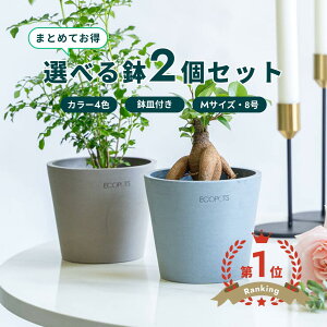 �_���r���[���T����^�A�ؔ� �� ecopots Amsterdam 8�� M�y2�Z�b�g�z �v���X�`�b�N + �V�R�� ���J�o�[ ������� ��^ �v�����^�[ �y�� �C���e���A �k�� ���M �t�� ���� �A�� �ϗt�A�� �A���h�v��