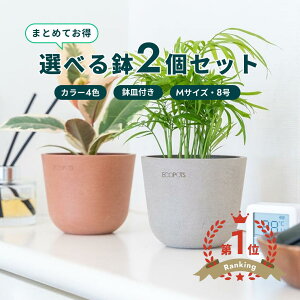 �_���r���[���T����^�A�ؔ� �� ecopots Oslo 8�� M�y2�Z�b�g�z �v���X�`�b�N + �V�R�� ���J�o�[ ������� ��^ �v�����^�[ �y�� �C���e���A �k�� �I�X�� ���M �t�� ���� �A�� �ϗt�A�� �A���h�v