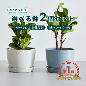 �_���r���[���T����^�A�ؔ� �� ecopots Stockholm 5�� Table-L�y2�Z�b�g�z �v���X�`�b�N + �V�R�� ���J�o�[ ������� ��^ �v�����^�[ �y�� �C���e���A �k�� �I�X�� ���M �t�� �A�� �ϗt�A�� �A��