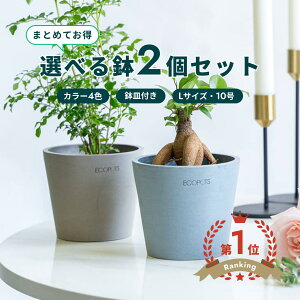 �_���r���[���T����^�A�ؔ� �� ecopots Amsterdam 10�� L�y2�Z�b�g�z �v���X�`�b�N + �V�R�� ���J�o�[ ������� ��^ �v�����^�[ �y�� �C���e���A �k�� ���M �t�� ���� �A�� �ϗt�A�� �A���h�v��