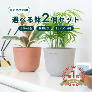 �_���r���[���T����^�A�ؔ� �� ecopots Oslo 6�� S�y2�Z�b�g�z �v���X�`�b�N + �V�R�� ���J�o�[ ������� ��^ �v�����^�[ �y�� �C���e���A �k�� �I�X�� ���M �t�� ���� �A�� �ϗt�A�� �A���h�v