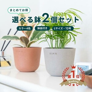 �_���r���[���T����^�A�ؔ� �� ecopots Oslo 12�� L�y2�Z�b�g�z �v���X�`�b�N + �V�R�� ���J�o�[ ������� ��^ �v�����^�[ �y�� �C���e���A �k�� �I�X�� ���M �t�� ���� �A�� �ϗt�A�� �A���h