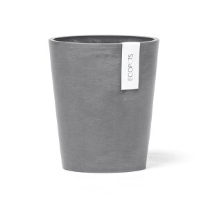 �_���r���[���T����^���� ������ �A�ؔ� Morinda 14cm 4�� �� �v�����^�[ ���J�o�[ �������_ ANDPLANTS �A���h�v�����c ecopots �G�R�|�b�c ���Ȃ� �󂯎M�Ȃ� �O���[ �y�� �y�� �v���� �ϗt�A�� ����