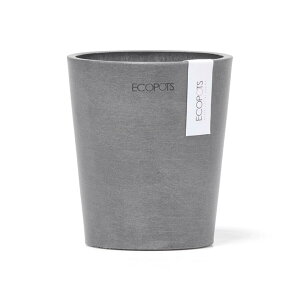 �_���r���[���T����^���� ������ �A�ؔ� Morinda 11cm 3�� �� �v�����^�[ ���J�o�[ �������_ ANDPLANTS �A���h�v�����c ecopots �G�R�|�b�c ���Ȃ� �󂯎M�Ȃ� �O���[ �y�� �y�� �v���� �ϗt�A�� ����