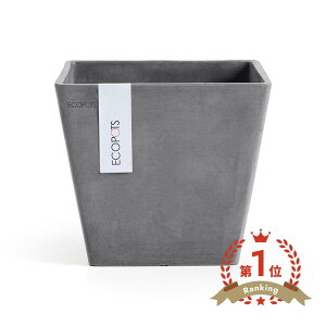 �_���r���[���T����^�l�p���� �A�ؔ� �~�͔� �l�p �����` Rotterdam 20cm 6�� �� �v�����^�[ ���J�o�[ ���b�e���_�� ANDPLANTS �A���h�v�����c ecopots �G�R�|�b�c �O���[ �y�� �y�� �v���� �ϗt�A�� 