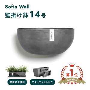 �_���r���[���T����^ECOPOTS Sofia WALL 43�@��ʋ������@�Ǌ|�� 14�� �v���X�`�b�N+�V�R�� �y�� �C���e���A�ɂȂ锫 �O���[