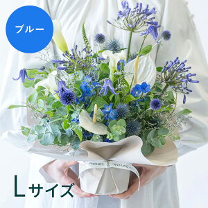 t[AWg ܂ ԑ G߂̂  Mtg v[g MtgbsO bZ[WJ[h ؂₩   Y VbN Ahvc ANDPLANTS 蕨 a 