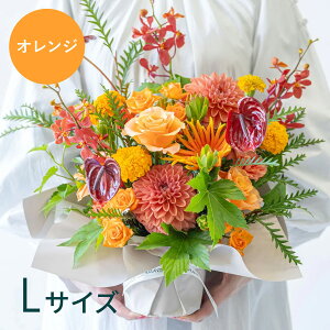 t[AWg ܂ ԑ G߂̂  Mtg v[g MtgbsO bZ[WJ[h ؂₩   Y VbN Ahvc ANDPLANTS 蕨 a 