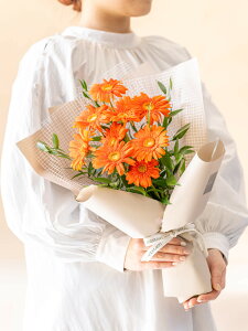 K[x ԑ u[P 5{ 10{ IW sN zCg ~bNX Mtg v[g ANDPLANTS Ahvc ̓ a ʉ } LO hV̓ LO \ 蕨 ؂₩