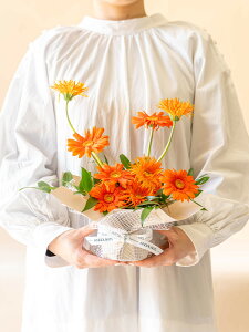 K[x AWg t[AWg 12{ IW sN zCg Mtg v[g ANDPLANTS Ahvc ̓ a ʉ } LO hV̓ LO \