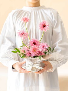 K[x AWg t[AWg 12{ IW sN zCg Mtg v[g ANDPLANTS Ahvc ̓ a ʉ } LO hV̓ LO \