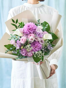 ypzԑ   t[Mtg zCg  p[v    ANDPLANTS Ahvc ~ ފ ʖ   l\ @ d Q   ʎ 