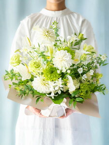 ypzt[AW   zCg  p[v    ANDPLANTS Ahvc ~ ފ ʖ   l\ @ d Q   ʎ  