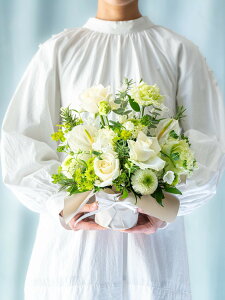 ypzt[AW   zCg  p[v    ANDPLANTS Ahvc ~ ފ ʖ   l\ @ d Q   ʎ  