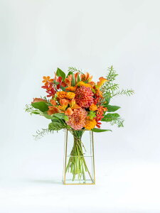 u[P ԑ ܂ G߂̂  t[AWg Mtg v[g MtgbsO bZ[WJ[h ؂₩   Y VbN Ahvc ANDPLANTS 蕨 