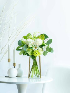 u[P ԑ ܂ G߂̂  t[AWg Mtg v[g MtgbsO bZ[WJ[h ؂₩   Y VbN Ahvc ANDPLANTS 蕨 