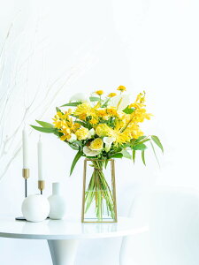 u[P ԑ ܂ G߂̂  t[AWg Mtg v[g MtgbsO bZ[WJ[h ؂₩   Y VbN Ahvc ANDPLANTS 蕨 