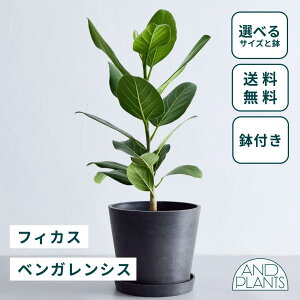 _r[T^tBJX xKVX ϗtA { ^  y ~j CeA  Ahvc andplants GR|bc ecopots  Aؔ Ă₷ ͂ɂ  