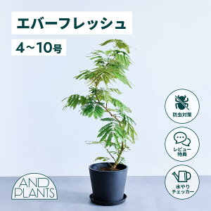 _r[T^Go[tbV ϗtA { ^  y ~j CeA  Ahvc andplants GR|bc ecopots  Aؔ Ă₷ ͂ɂ  N v