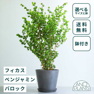 _r[T^tBJX xW~ obN ϗtA { ^  y ~j CeA  Ahvc andplants GR|bc ecopots  Aؔ Ă₷ ͂ɂ