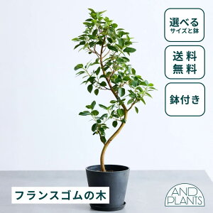 _r[T^tXS̖ ϗtA { ^  y ~j CeA  Ahvc andplants GR|bc ecopots  Aؔ Ă₷ ͂ɂ  N v