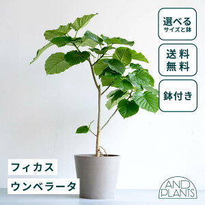 _r[T^tBJX Ex[^ ϗtA ^  y ~j CeA  Ahvc andplants GR|bc ecopots  Aؔ Ă₷ ͂ɂ  N v