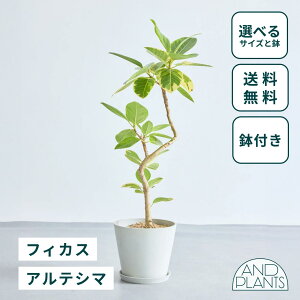_r[T^tBJX AeV} ϗtA { ^  y ~j CeA  Ahvc andplants GR|bc ecopots  Aؔ Ă₷ ͂ɂ  N 