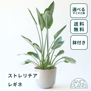 _r[T^Xg`A Ml ϗtA { ^  y ~j CeA  Ahvc andplants GR|bc ecopots  Aؔ Ă₷ ͂ɂ  N 