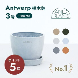 ＼24日10時迄P5倍／植木鉢 鉢 ecopots Antwerp 3〜10号 プラスチック + 天然石 鉢カバー おしゃれ 大型 プランター 軽い インテリア 北欧 鉢皿 付き お花 植物 観葉植物 アンドプランツ and plants 3号 10号 ホワイト グレー ブルー ブラック ベージュ