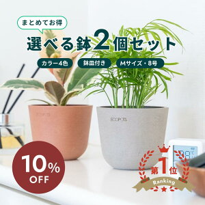 �y10��20����10%���z�A�ؔ� �� ecopots Oslo 8�� M�y2�Z�b�g�z �v���X�`�b�N + �V�R�� ���J�o�[ ������� ��^ �v�����^�[ �y�� �C���e���A �k�� �I�X�� ���M �t�� ���� �A�� �ϗt�A�� �A���h�v��