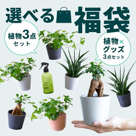 ＼レビュー特典あり／ 選べる福袋 初心者セット 霧吹き と 観葉植物 セット テーブルプランツ 小さい 軽い ミニ インテリア おしゃれ アンドプランツ andplants エコポッツ ecopots 鉢 植木鉢 育てやすい 縁起 プレゼント ギフト 新築祝 結婚祝い メッセージカード 送料無料