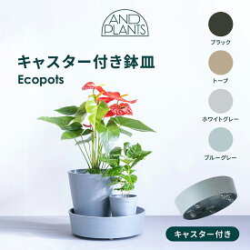 植木鉢台 植木鉢 鉢置き台 キャスター キャスター付き 可動式 隠しキャスター 観葉植物 エコポッツ ECOPOTS アンドプランツ ANDPLANTS おしゃれ ナチュラル 北欧 10号 12号 15号 大型 屋内 屋外 軽量 プラスチック 鉢植え