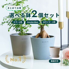 植木鉢 鉢 ecopots Amsterdam 8号 (M)【2個セット】 プラスチック + 天然石 鉢カバー おしゃれ 大型 プランター 軽い インテリア 北欧 鉢皿 付き お花 植物 観葉植物 アンドプランツ and plants ホワイト グレー ブルー ブラック 選べるカラー